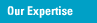 Our Expertise